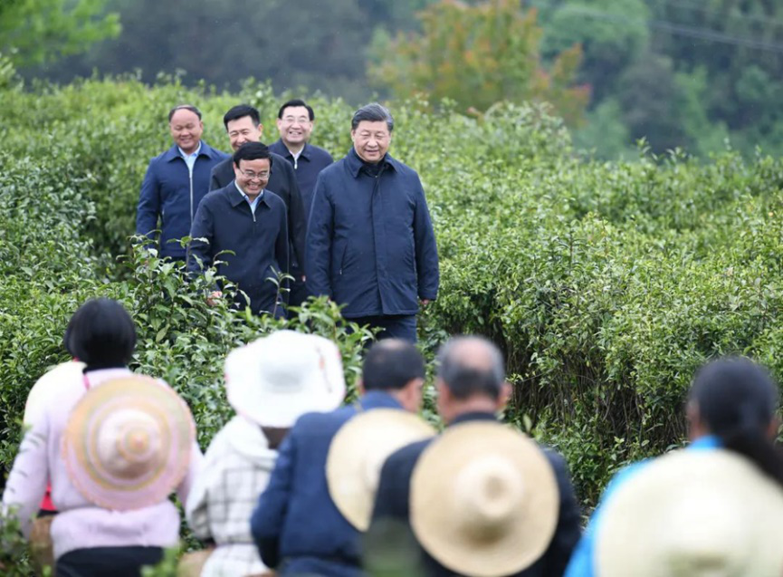 2020年4月21日，中共中央总书记、国家主席、中央军委主席习近平来到陕西省安康市平利县老县镇，在茶园考察脱贫攻坚情况。（燕雁／摄）“五级书记”同框的照片刷屏。画面中，习近平总书记面带微笑，走向正在工作的茶农们，身旁是陕西省委书记、安康市委书记、平利县委书记、蒋家坪村支书。