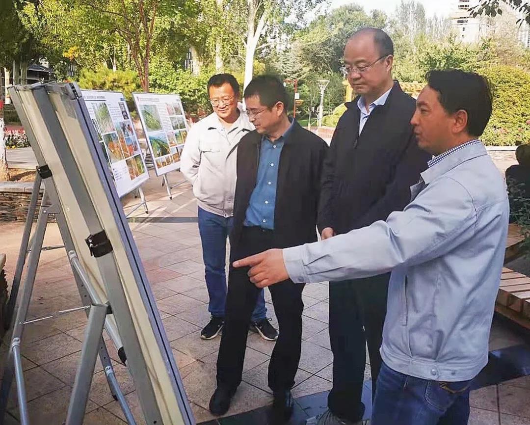 西宁党建网